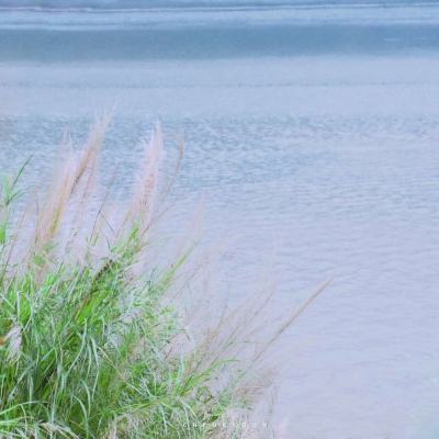 聚焦防汛抗旱丨我国最大淡水湖鄱阳湖水位超警戒