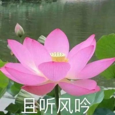 河北省“安全生产月”活动今天启动